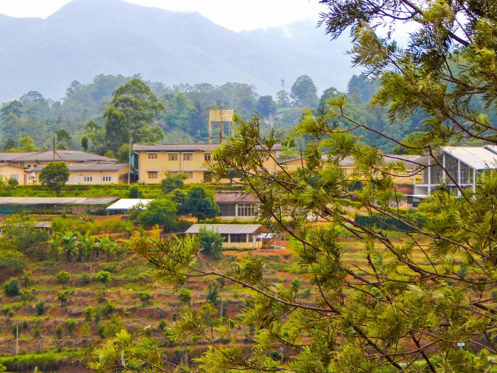 Lark Nest Hotel Bandarawela Room photo