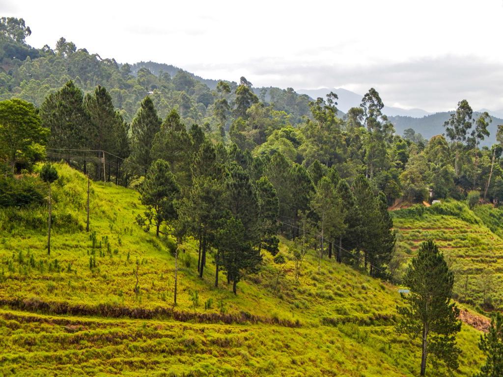 Lark Nest Hotel Bandarawela Room photo