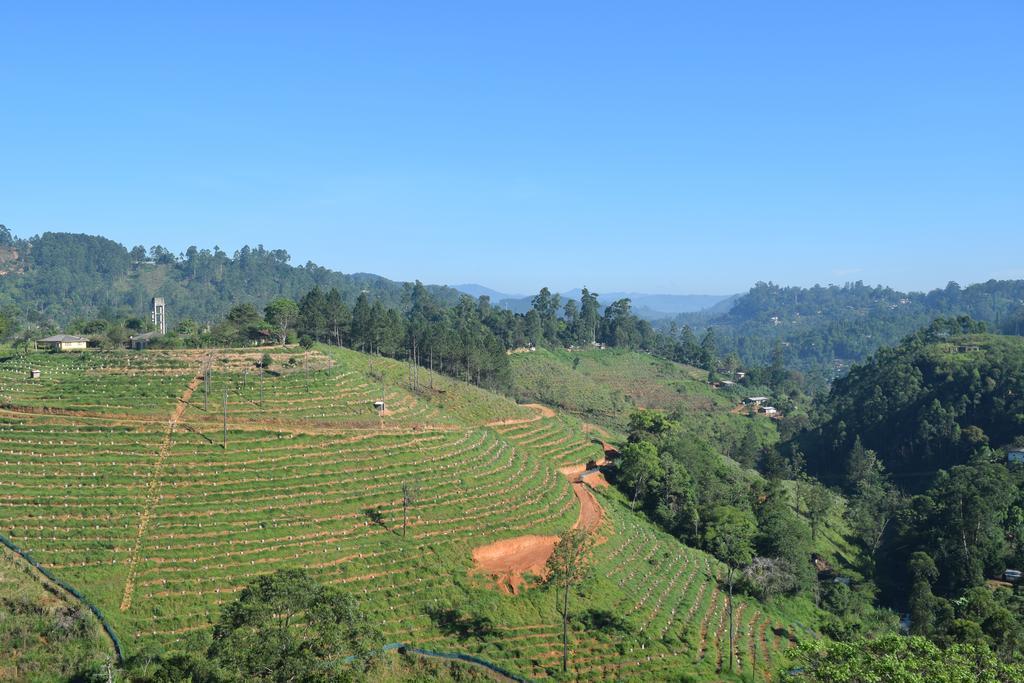 Lark Nest Hotel Bandarawela Exterior photo